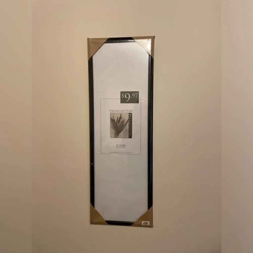 NEW Trendsetter Poster Frame Landscape or Portrait 11.75” x 36”